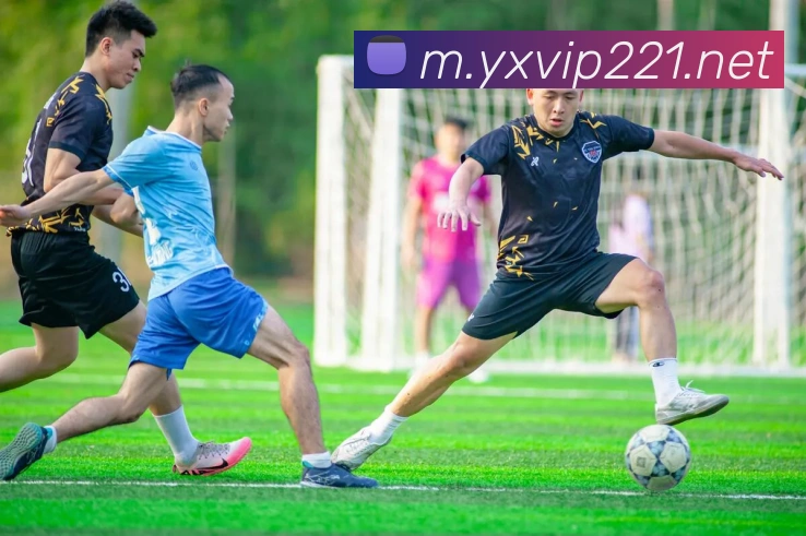 亚星yaxin全站App