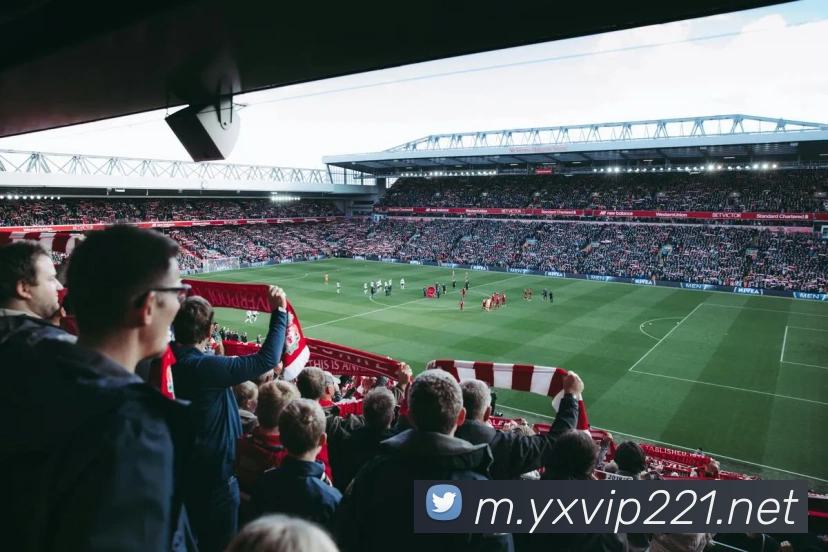 登录器